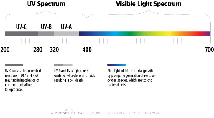 UV-Spectrum